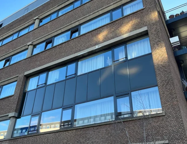 Portfolio-RLS-Schilders